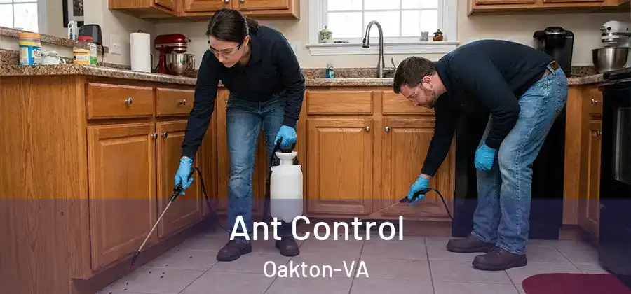  Ant Control Oakton-VA