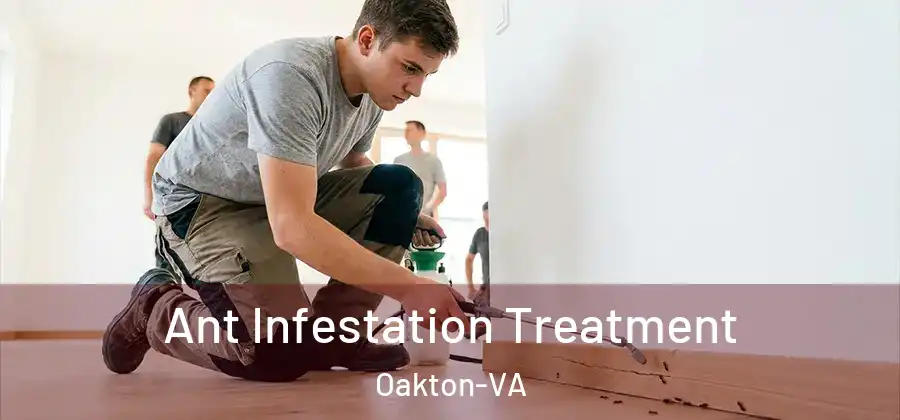 Ant Infestation Treatment Oakton-VA
