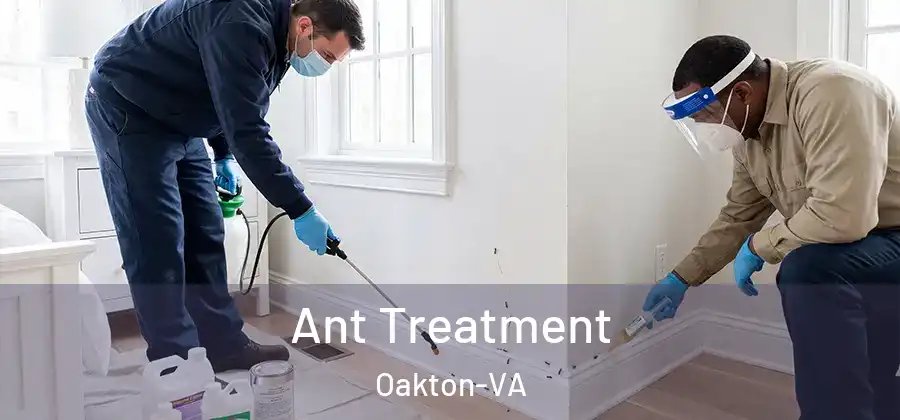  Ant Treatment Oakton-VA