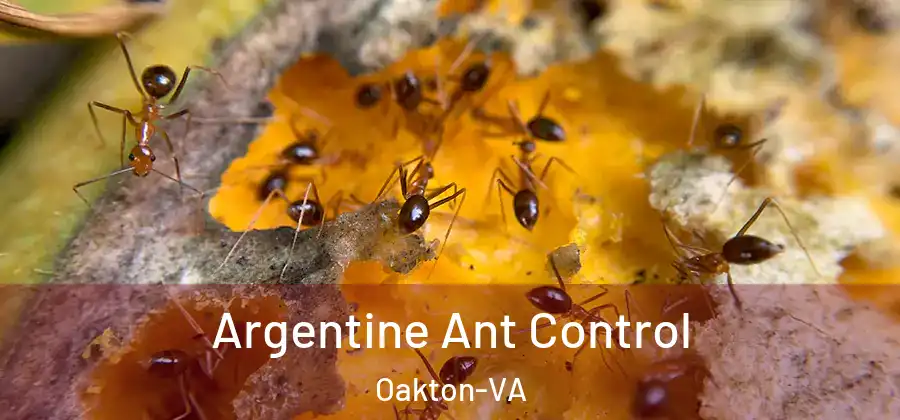  Argentine Ant Control Oakton-VA