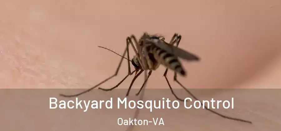  Backyard Mosquito Control Oakton-VA
