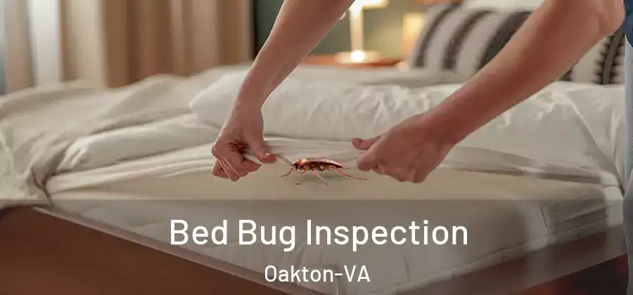  Bed Bug Inspection Oakton-VA