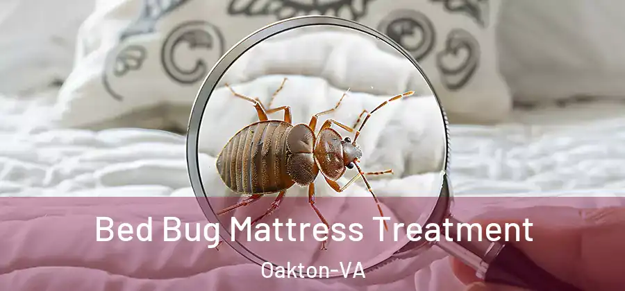  Bed Bug Mattress Treatment Oakton-VA