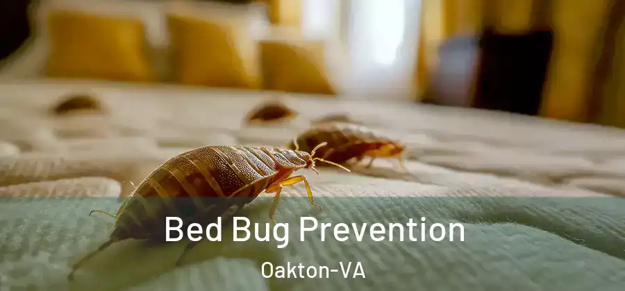  Bed Bug Prevention Oakton-VA