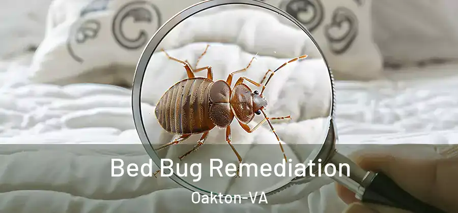  Bed Bug Remediation Oakton-VA