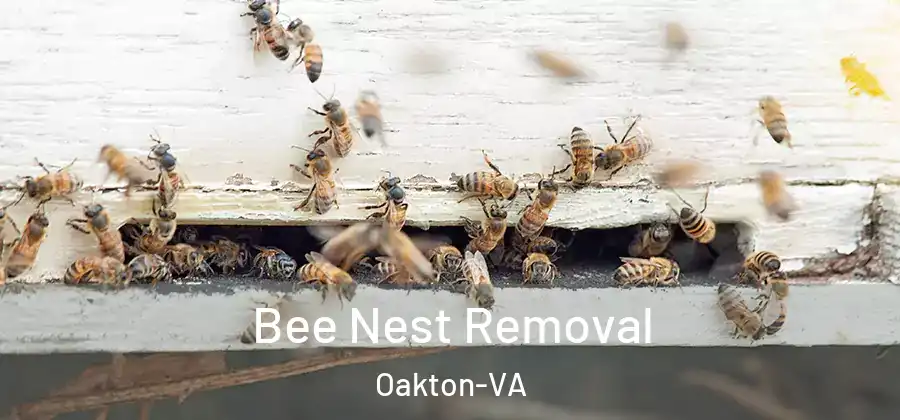  Bee Nest Removal Oakton-VA