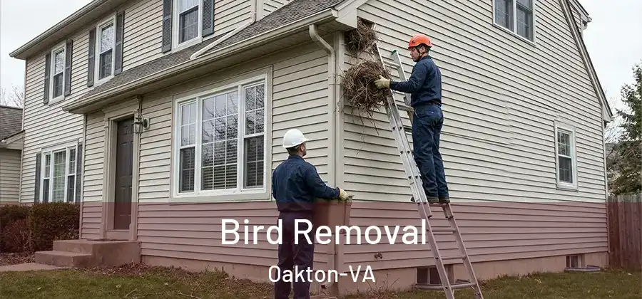  Bird Removal Oakton-VA