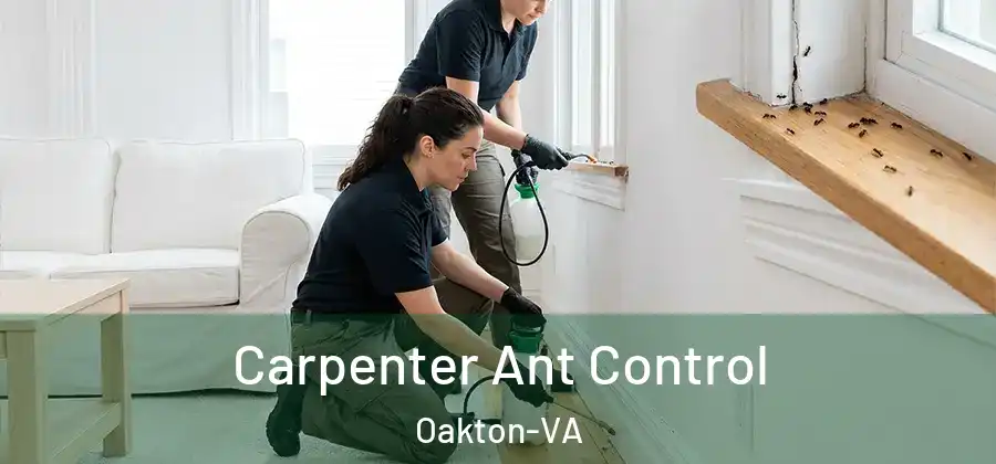  Carpenter Ant Control Oakton-VA