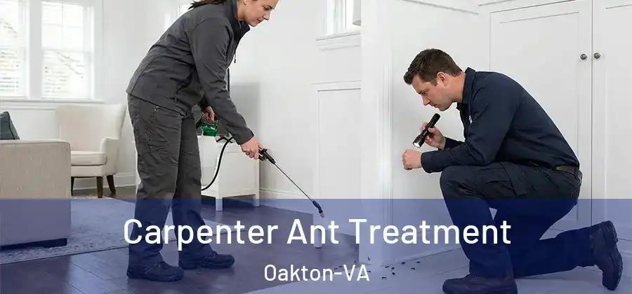 Carpenter Ant Treatment Oakton-VA