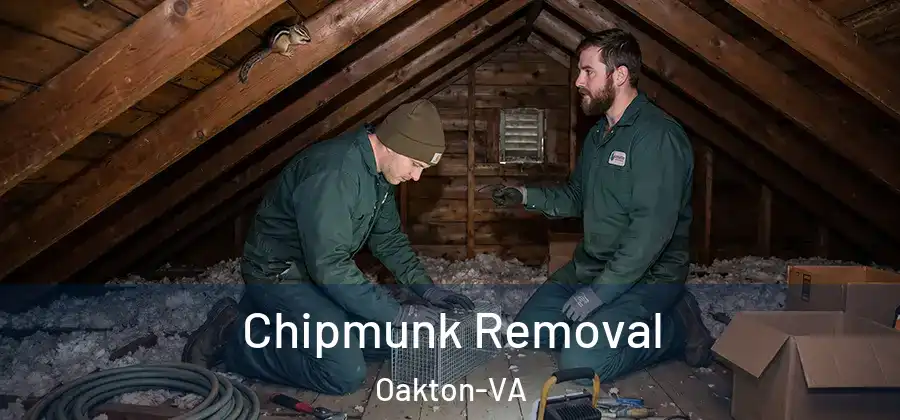  Chipmunk Removal Oakton-VA