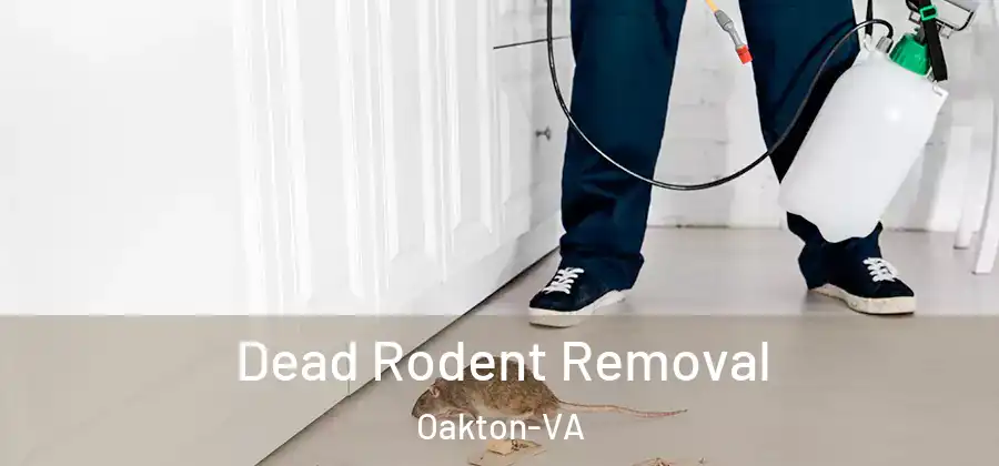  Dead Rodent Removal Oakton-VA