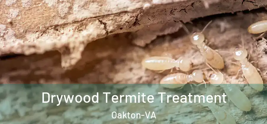 Drywood Termite Treatment Oakton-VA