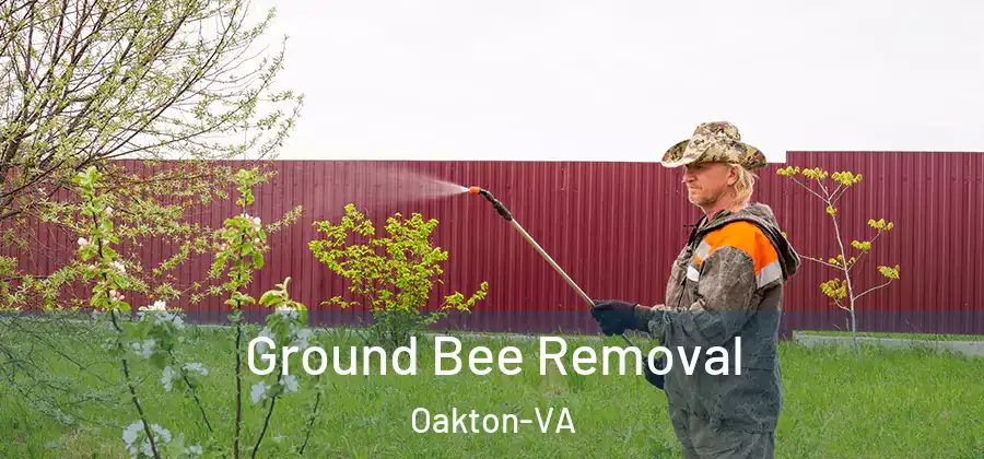  Ground Bee Removal Oakton-VA