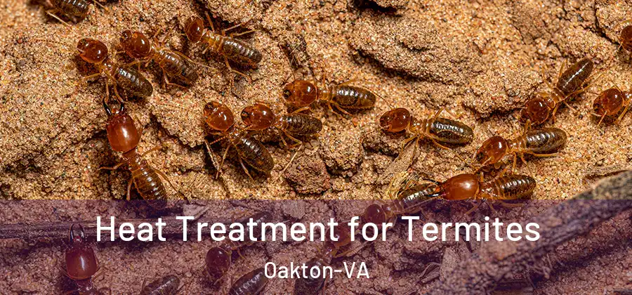  Heat Treatment for Termites Oakton-VA