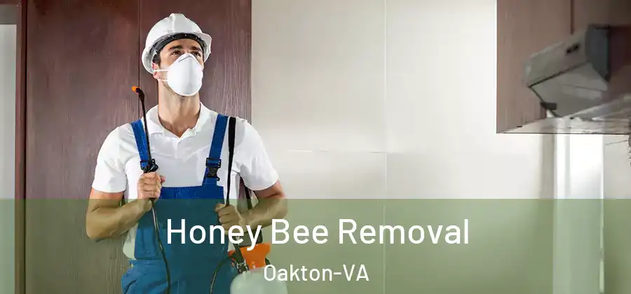  Honey Bee Removal Oakton-VA