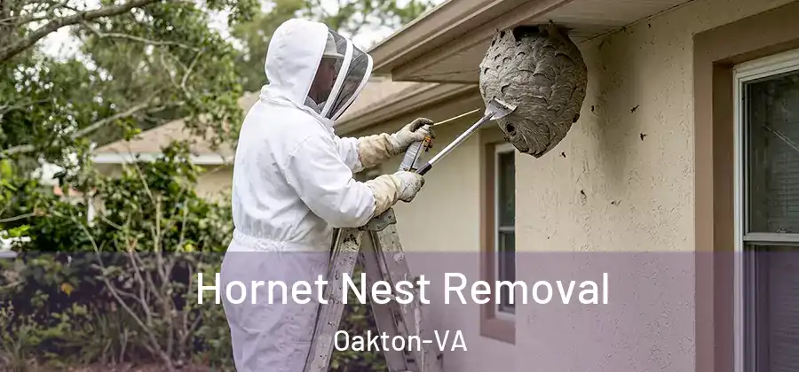  Hornet Nest Removal Oakton-VA