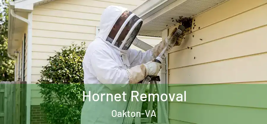  Hornet Removal Oakton-VA