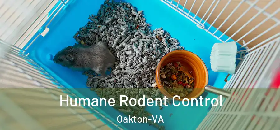 Humane Rodent Control Oakton-VA