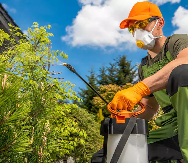 Your Mosquito Repellent Barrier Service in Oakton, VA