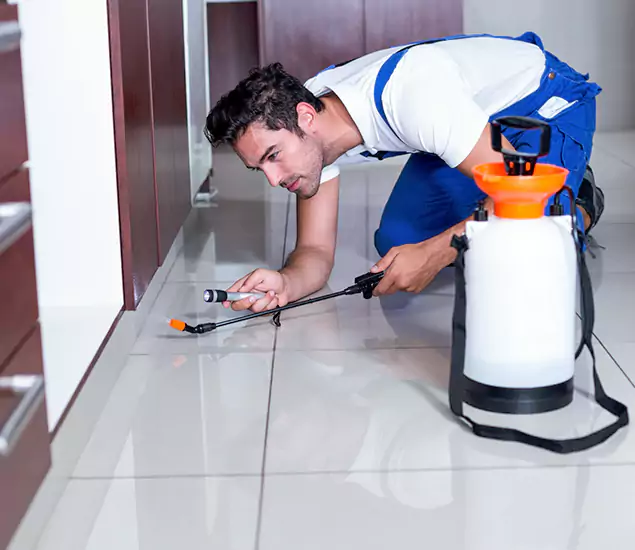 Reliable Professional Mouse Removal: Your Best Mouse Control Company in Oakton, VA
