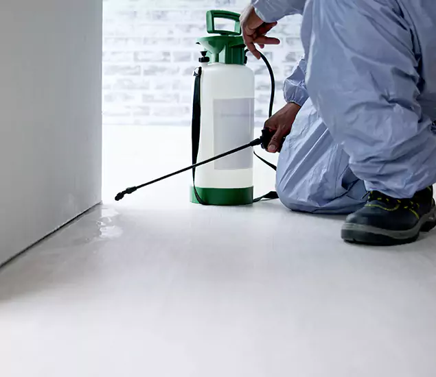 Affordable Pest Control Experts in Oakton, VA
