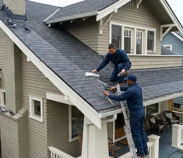 Your Pigeon Control Experts in Oakton, VA
