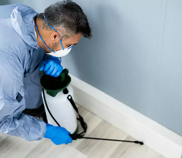 Reliable Termite Cost Experts in Oakton, VA