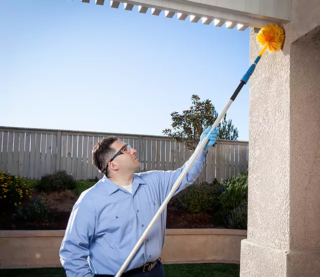 Your Trusted Wasp Removal Company in Oakton, VA