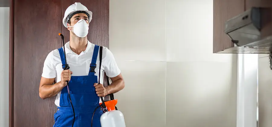 Per Room Bed Bug Cost in Oakton
