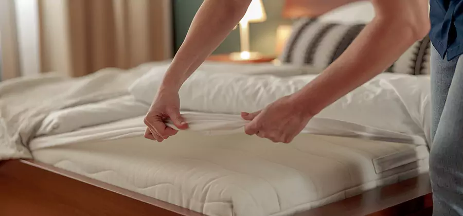 Bed Bug Extermination Services in Oakton