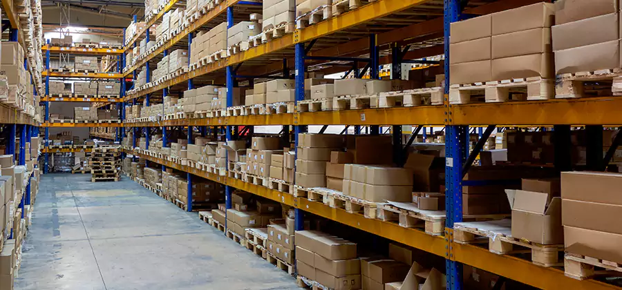 Warehouse Pest Control in Oakton