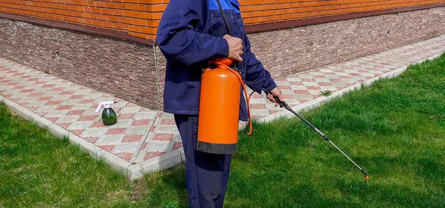Non Toxic Termite Treatment in Oakton