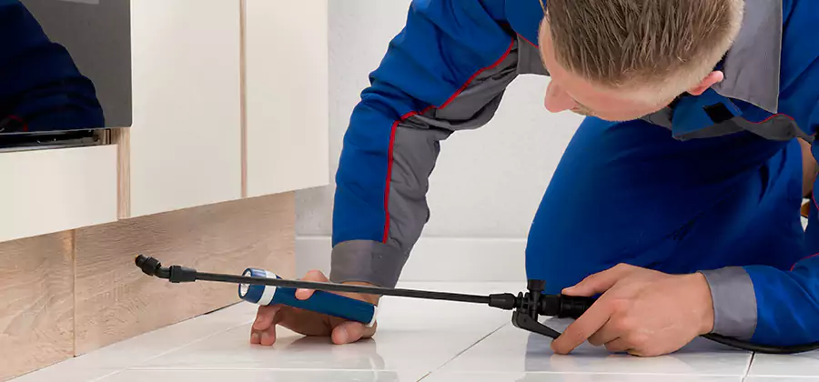 Moisture Treatment For Termite Control Service in Oakton