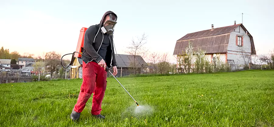 Flea and Tick Pest Control in Oakton