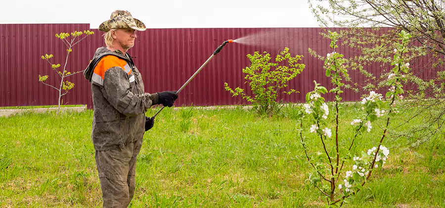 Flea and Tick Spray for Yard in Oakton
