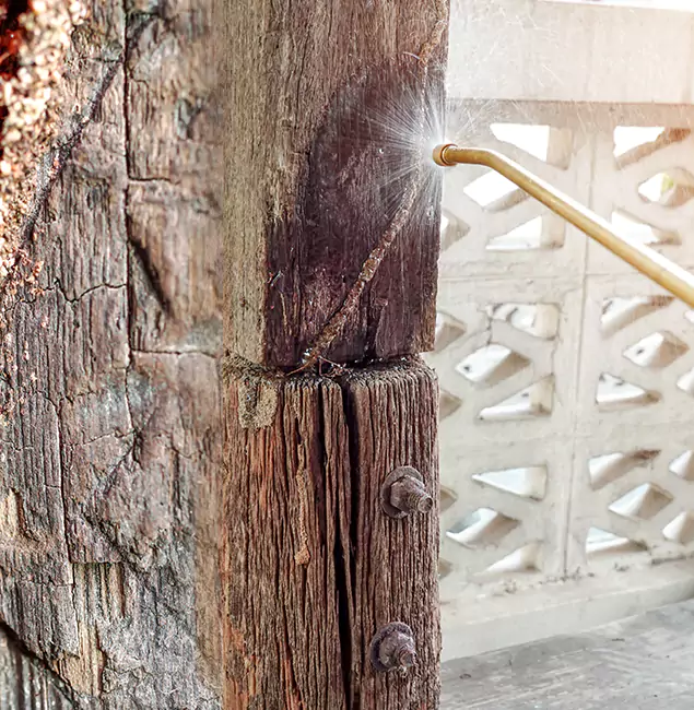 Why Choose Oakton Pest Control Pro for Attic Termite Treatment in Oakton, VA?