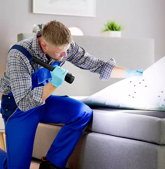 Why Choose Oakton Pest Control Pro for Bed Bug Exterminator Cost in Oakton, VA?