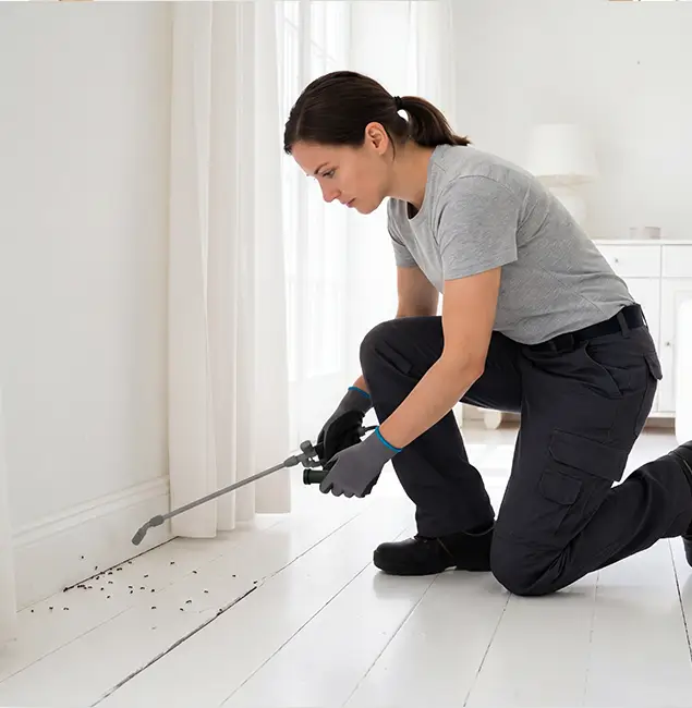 Why Oakton, VA Property Owners Trust Oakton Pest Control Pro for Fire Ant Control?