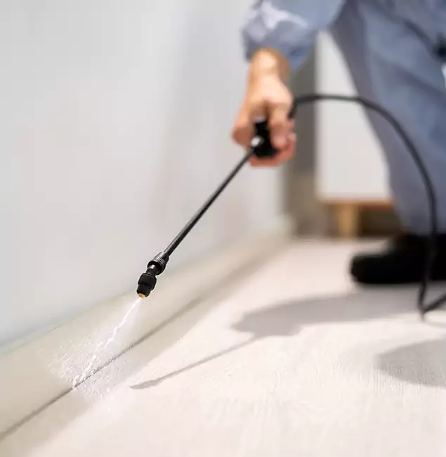 Why Choose Oakton Pest Control Pro for Termite Treatment in Oakton, VA?