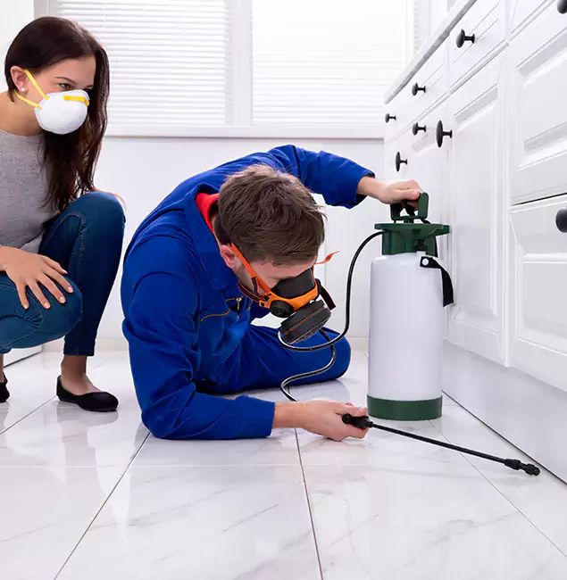 Why Oakton, VA Homeowners Trust Oakton Pest Control Pro for Roach Control?