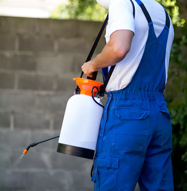 Why Oakton Homeowners Rely on Oakton Pest Control Pro for Mosquito Control?
