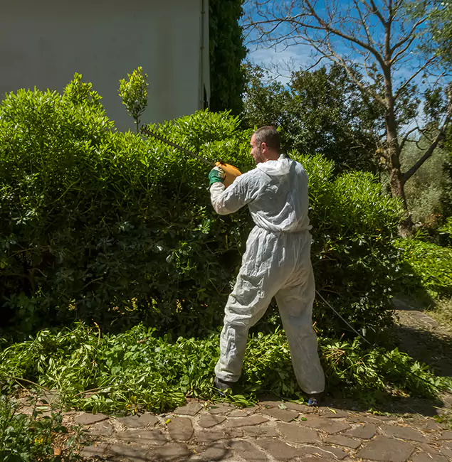 Why Oakton Pest Control Pro Leads Mosquito Control in Oakton, VA?