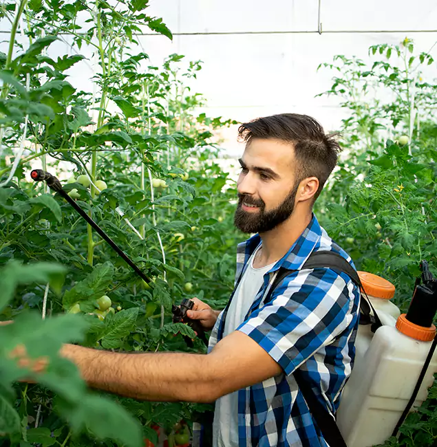 Why Oakton Homeowners Choose Oakton Pest Control Pro for Mosquito Spraying?