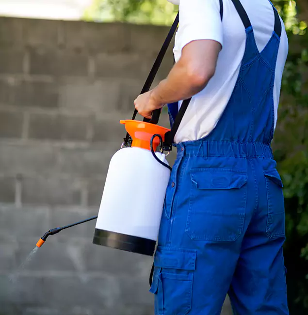 Why Oakton Pest Control Pro Delivers the Best Mosquito Control in Oakton, VA?