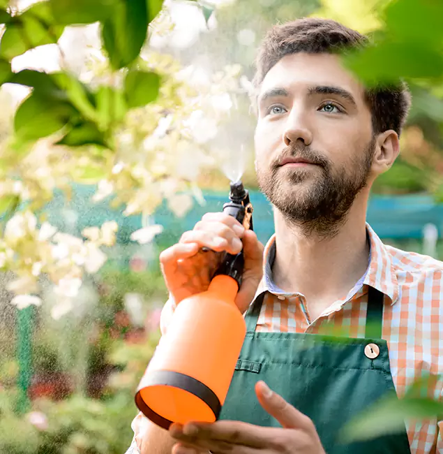 Why Oakton Homeowners Call Oakton Pest Control Pro for Mosquitoes in House?