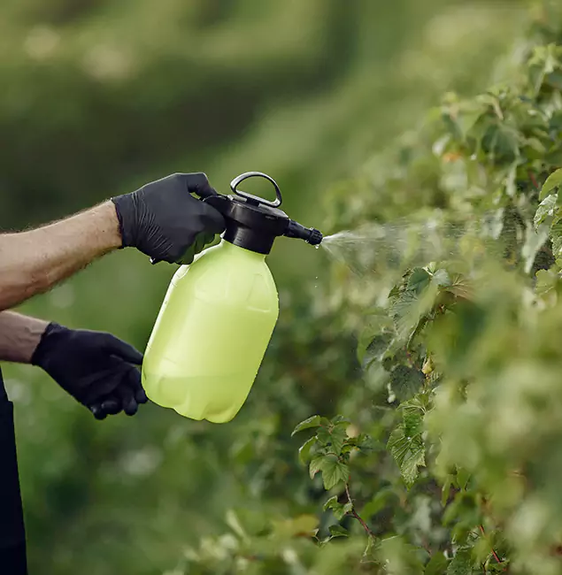 Why Oakton Homeowners Choose Oakton Pest Control Pro for Yard Tick Treatment?