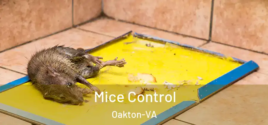  Mice Control Oakton-VA
