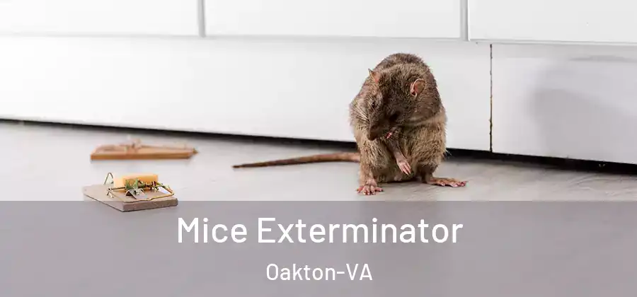 Mice Exterminator Oakton-VA