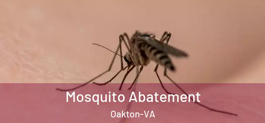  Mosquito Abatement Oakton-VA