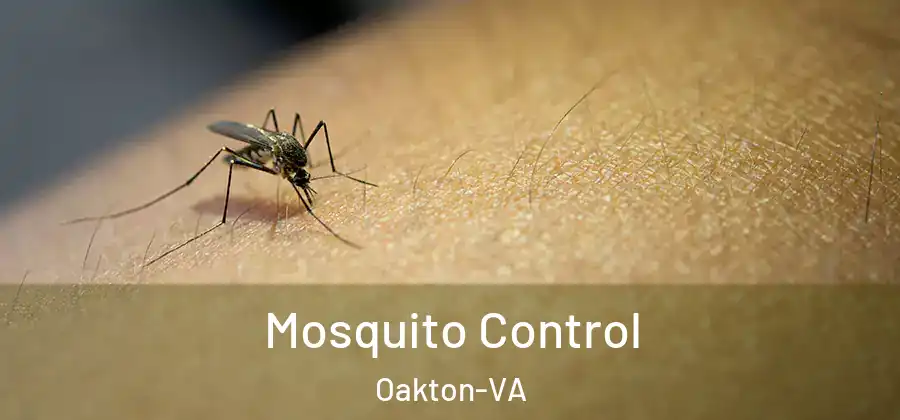  Mosquito Control Oakton-VA
